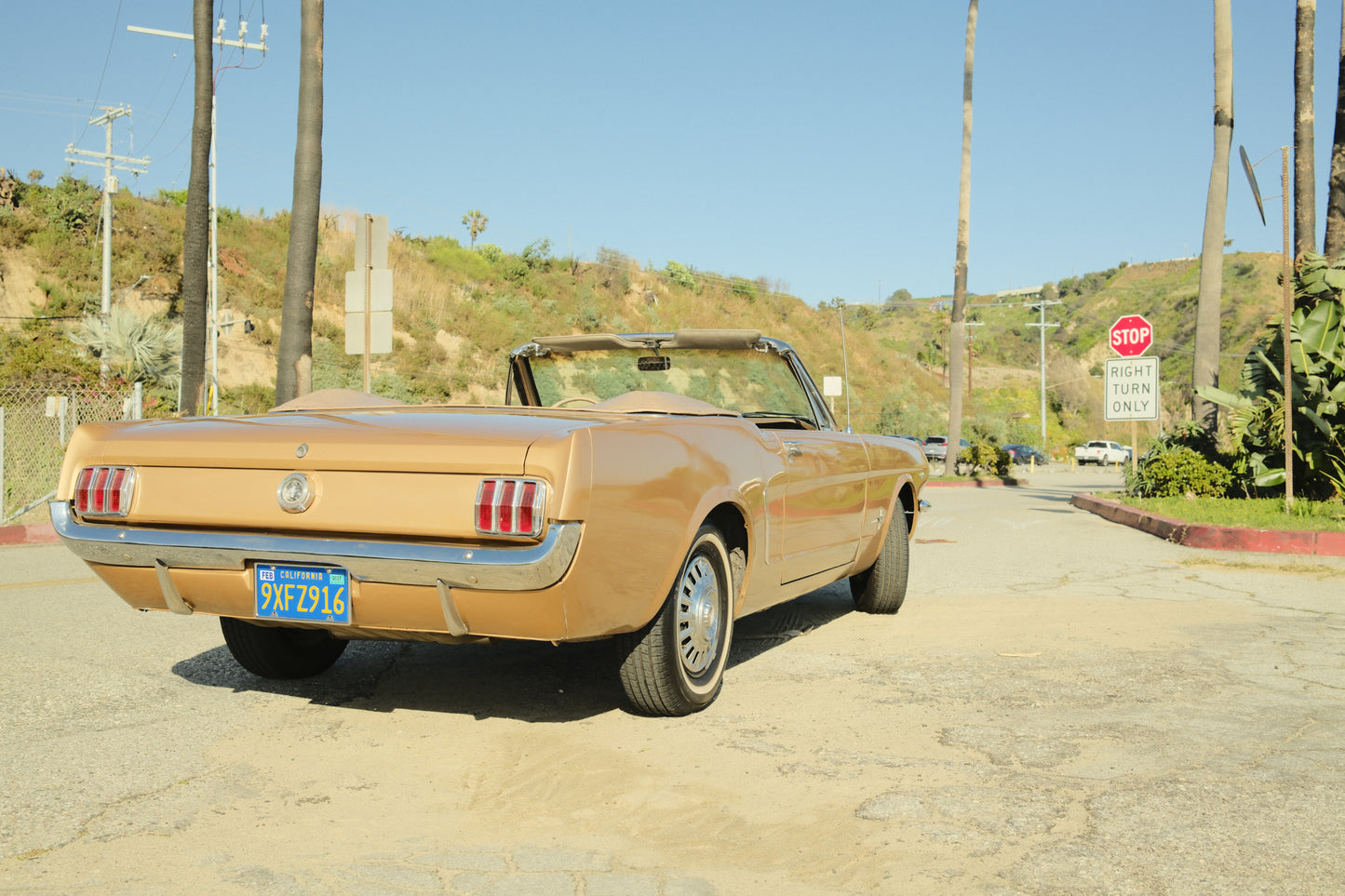 1965 Ford Mustang
