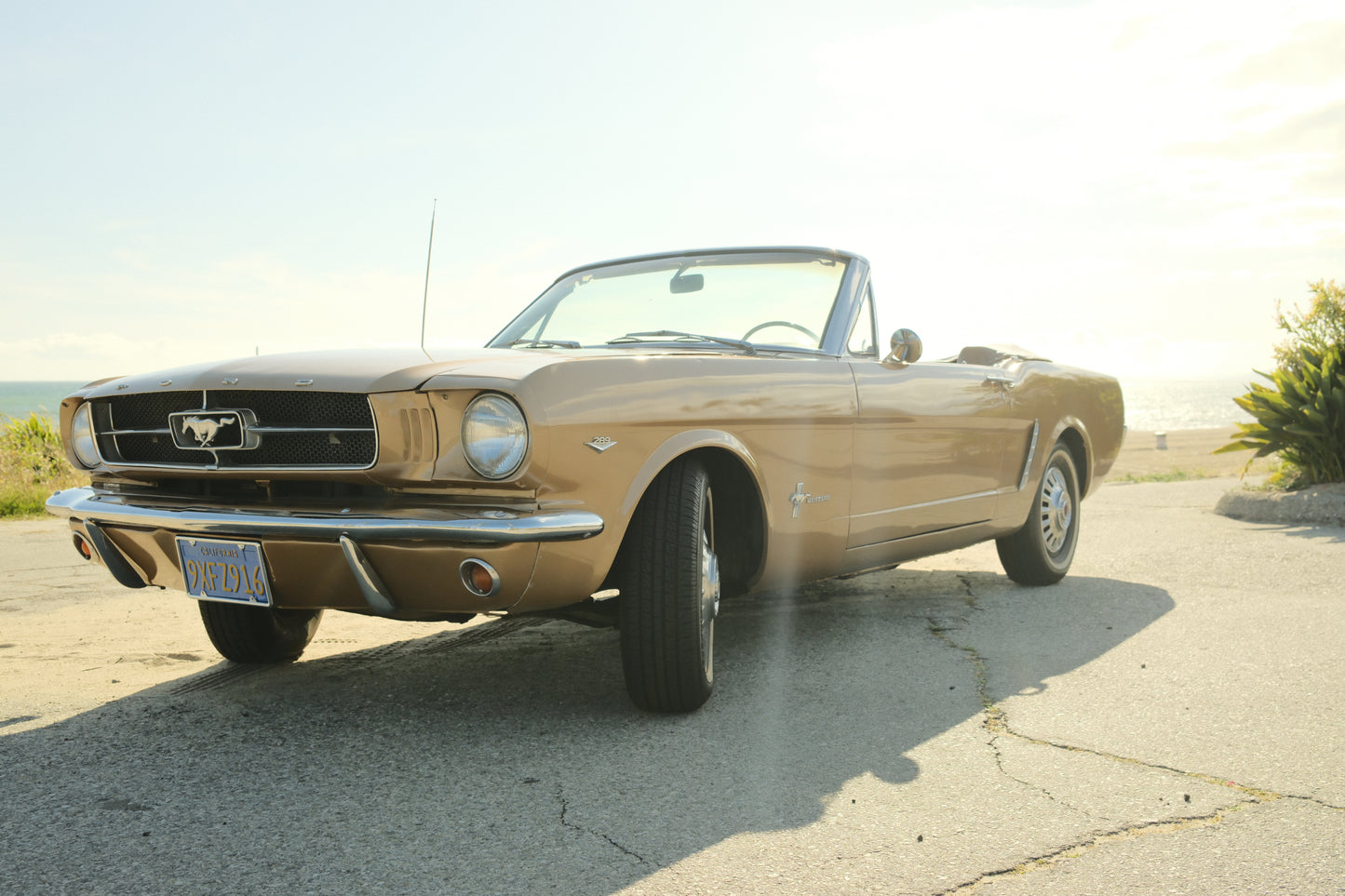 1965 Ford Mustang